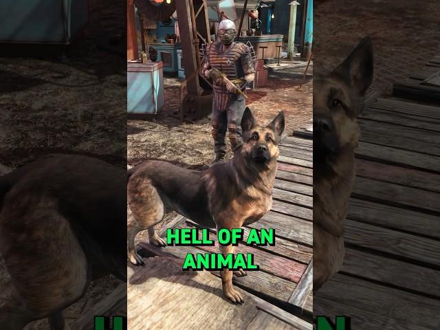 Diamond City Security Judge Your Companions in Fallout 4