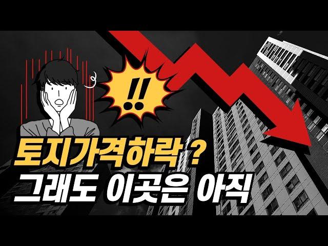 세종시 토지 대교리 토지거래현황  세종시 부동산 세종 몽땅부동산 공인중개사