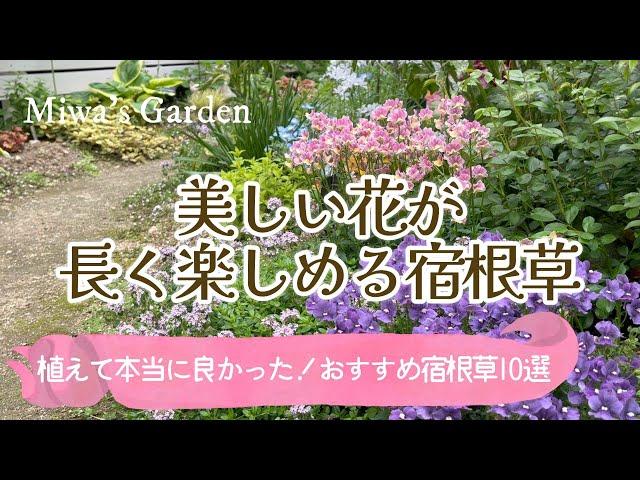 【ガーデニング＊おすすめ宿根草】植えて良かった！おしゃれで花期が長い美しい宿根草・多年草10選/素敵な庭づくり