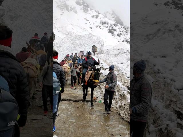 Kedarnath Yatra 2023 ️| Kedarnath Temple Opening day | #youtubeshorts #kedarnath #shorts #snowfall