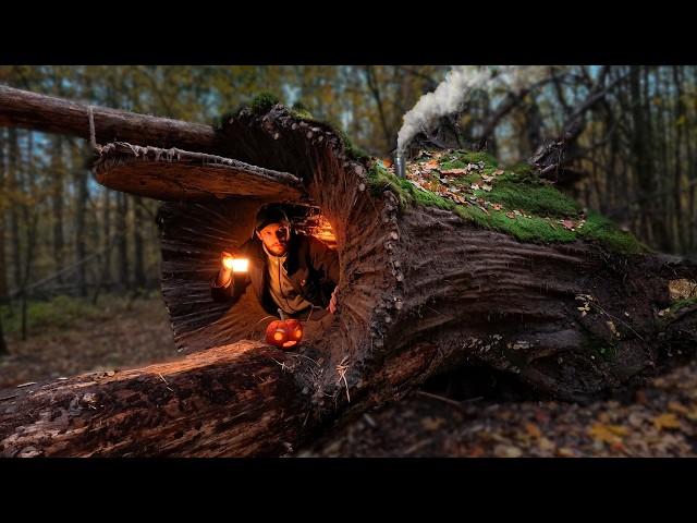 Building a Warm and Cozy Hollow for Survival, in the root of a fallen spruce. Secret cave, Bushcraft