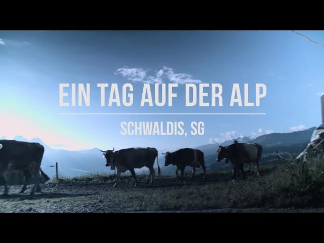 Ein Tag auf der Alp Schwaldis