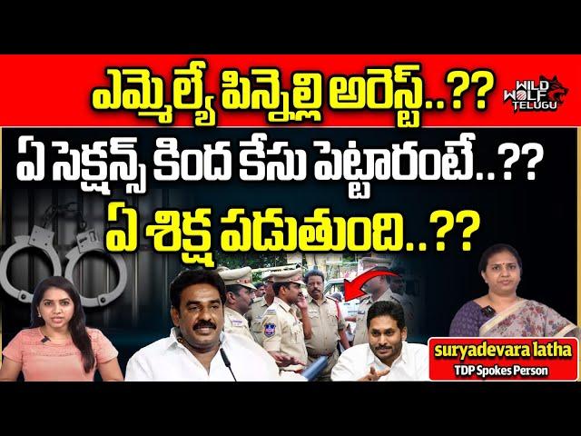 Pinnelli Ramakrishna Reddy Arrest | Macharala YCP MLA | EVM Destroyed | Suryadevara Latha |Wild Wolf