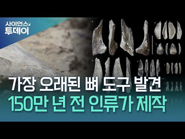 인류는 언제부터 동물의 뼈를 도구로 사용했을까? / YTN 사이언스