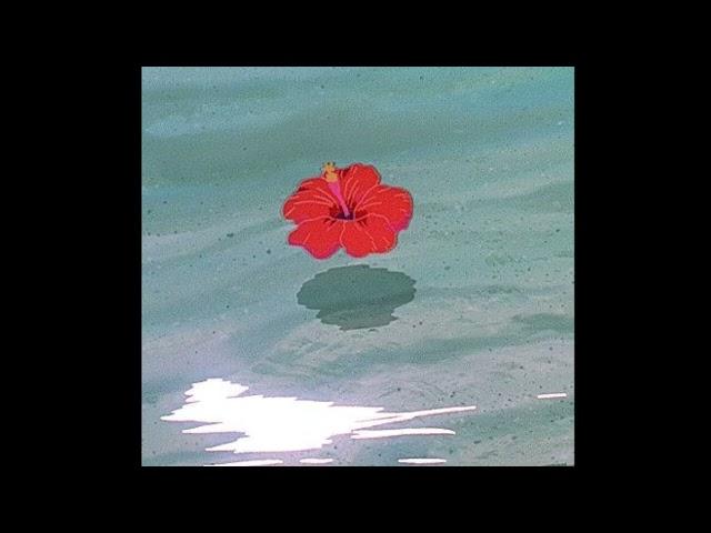 [FREE] Bedroom Pop x Cuco x Jakob Type Beat - "FLOWER"