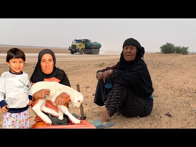 Arab Villagers| Arab Nomads Life styles | أسلوب حياة البدو العرب في إيران | Rural Families