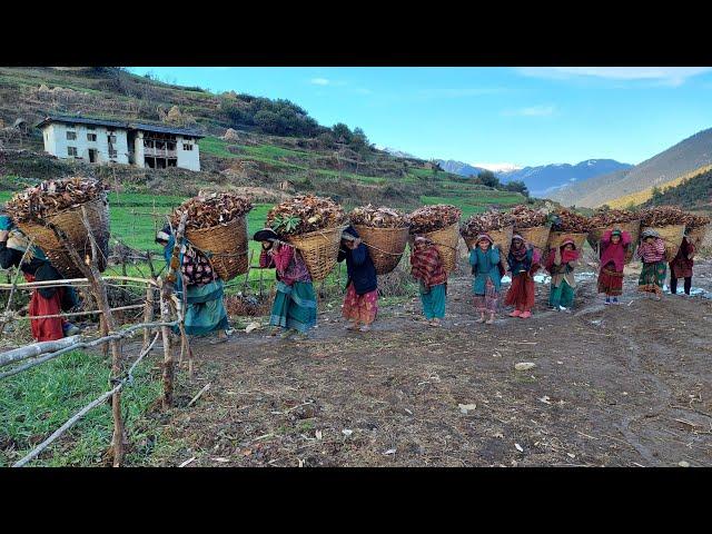 The Determined Lifestyle of Hardworking Nepali Mountain Villagers || IamSuman