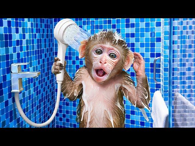 KiKi Monkey bathing in the toilet so funny with Duckling & play at swimming pool | KUDO ANIMAL KIKI