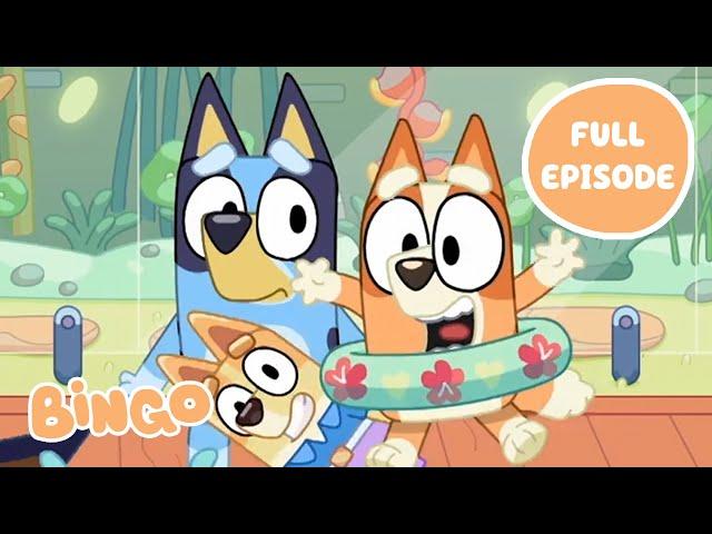 Christmas Swim with Bingo!    | Bluey Series 2 - Full Episode | Bingo - Official Channel