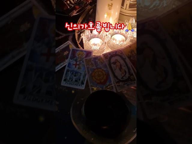 신의가호를 빕니다  #타로천사엘라 #감사 #행복