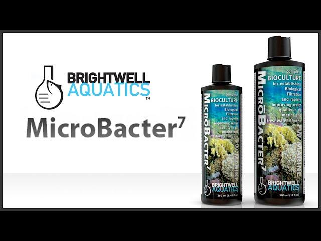 Brightwell Aquatics MicroBacter 7