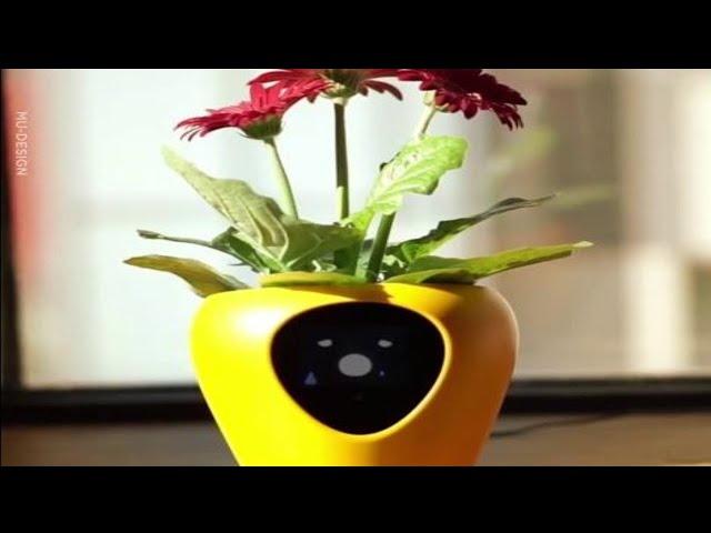 Lua The Smart Plant Pot