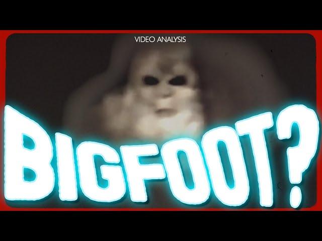 Die Pennsylvania White Bigfoot Akte (eingehende Videoanalyse)