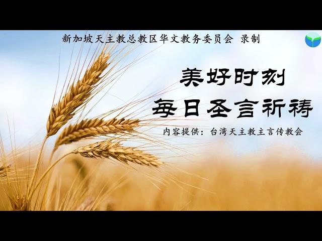 《美好时刻 - 每日圣言祈祷》2025年3月17日 (点击caption来观看字幕)