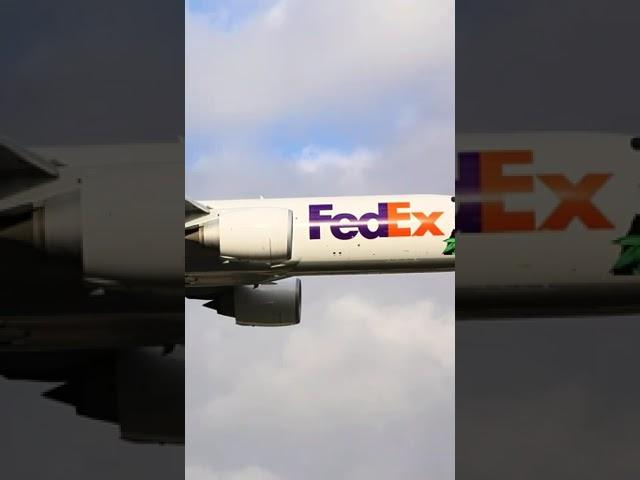 FedEx Panda Express 