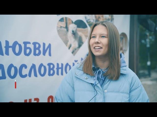 "Сосновоборск. Наши новости" от 20.12.2024