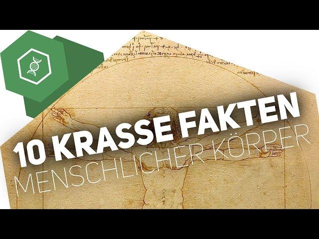 10 KRASSE FAKTEN über den menschlichen Körper