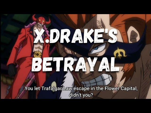 X. Drake let Trafalgar Law escape and was found out by Queen | X.Drake Form Alliance with Straw Hats