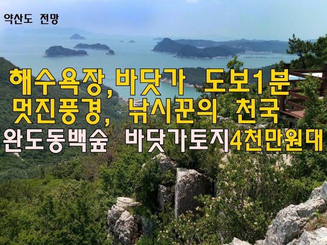 [번호 390399] 전남 완도군 약산면 바닷가 토지매매 해수욕장 펜션부지매매 해변 전원주택지급매매 팬션용지매도 가사동백숲 해변 바다 도보1분 위치좋음 면적:413㎡ 부동산직거래