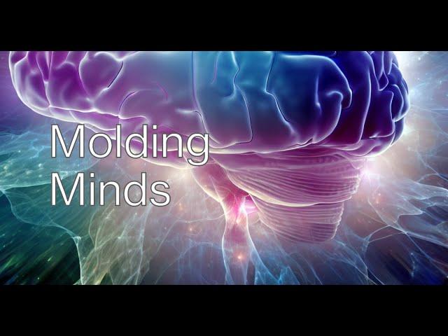 Molding Minds: Discover the Power of Brain Plasticity and Hemispheric Specializations