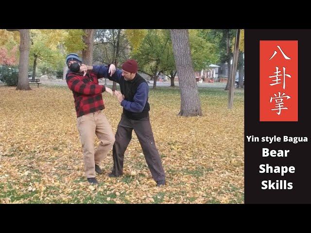 Yin Style Baguazhang Bear Shape Skills