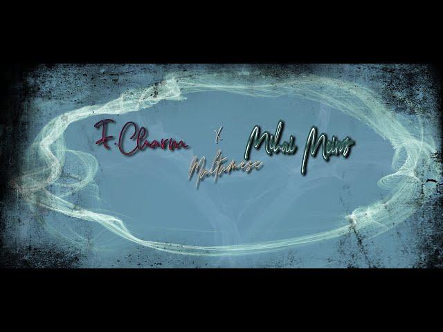 F.Charm -feat. Mihai Meiros-Mulţumesc -Versuri