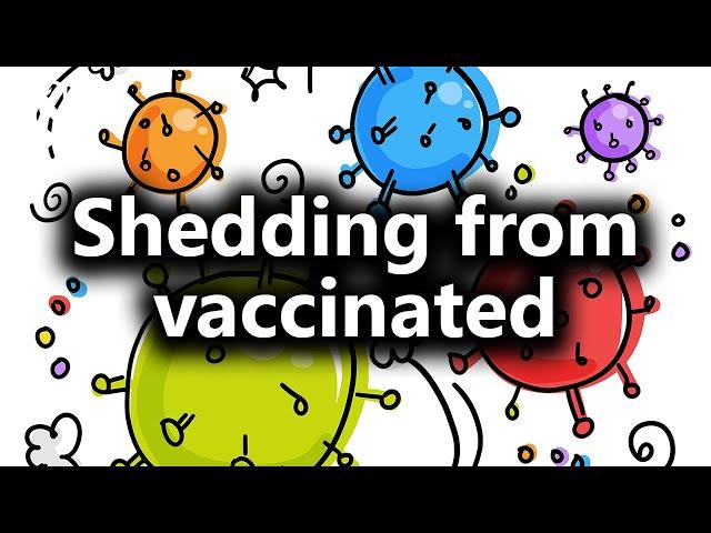 Is spike/mRNA shedding a valid concern? A contagious misfolding? (from Livestream #163)