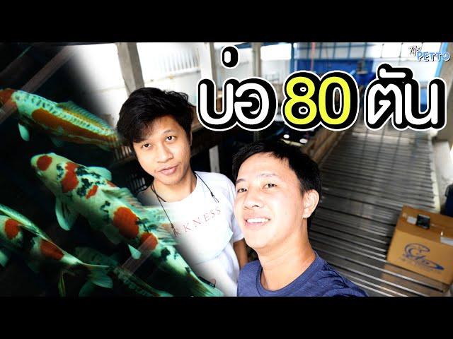 เยี่ยมตันโจโชว่า ในบ่อ 80 ตัน | The PETTO EP.133