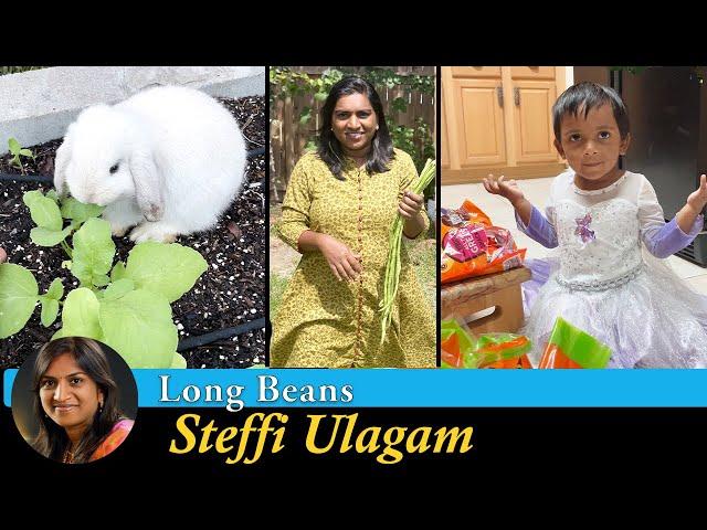 Growing Long Beans at Home in Tamil | Making Goody Bags | Steffi Ulagam