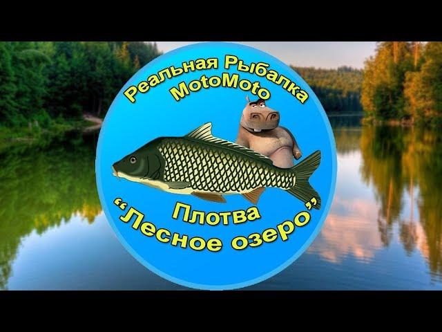 Как поймать Плотву на Лесном озере [АРХИВ] | Реальная Рыбалка