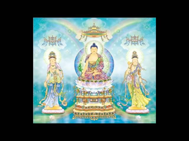 Tụng Chết Mà Sống - Thầy Thích Huệ Duyên - Phật Pháp Vô Biên
