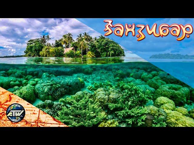 Snorkeling in Zanzibar | Mnemba Atoll, Nakupenda and Blue Lagoon | Tanzania