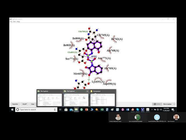 202111 5 d  Visualisasi dengan ligplus dan PyMol  D Antikolesterol Dr apt  Hari Purnomo, M S