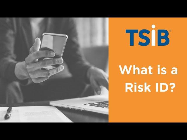 What is a Risk ID?