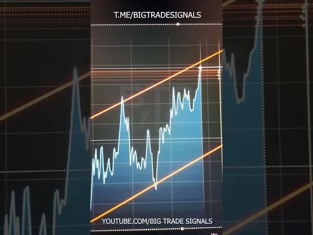 Join Olymp Trade Signals Group  Daily Profit Olymp Trade 1 min strategy signals