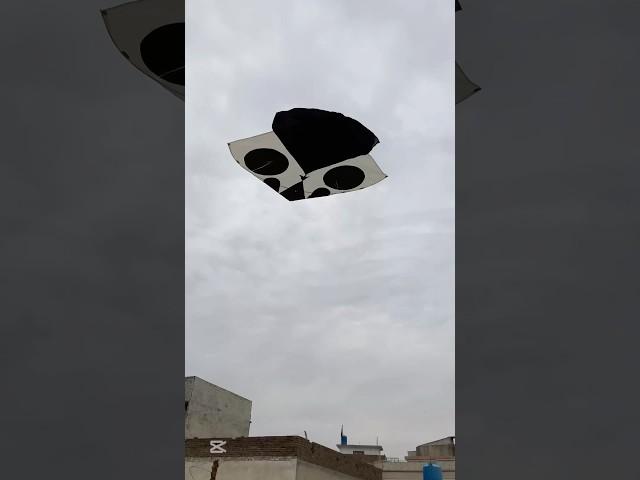 Itni bri kite kaha sa a gai#kite #catch #viralshorts #trending #ytshorts