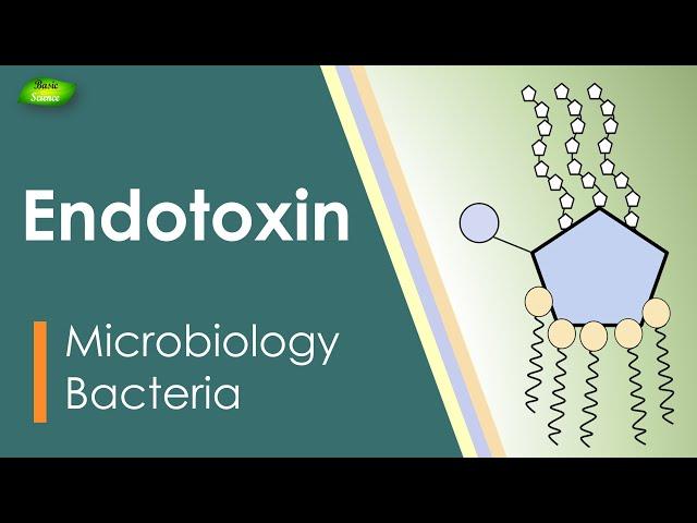 Lipopolysaccharides | LPS | Endotoxin | Bacterial toxin | Inflammation | Basic Science Series