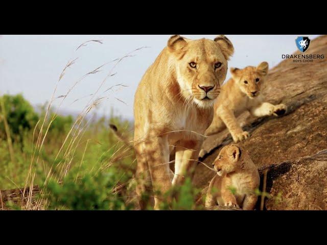 Drakensberg Boys Choir - We Are One Feat. George Philippart