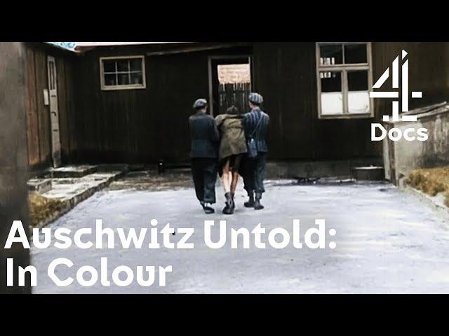 What Happened Right Before Jewish Concentration Camps Were Liberated? | Auschwitz Untold: In Colour