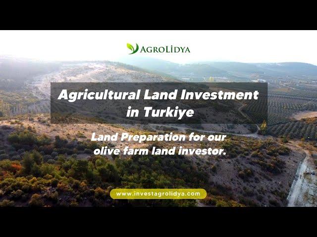 Agricultural Land Investment in Turkiye #farmland #investfarmland #investinturkey #invest