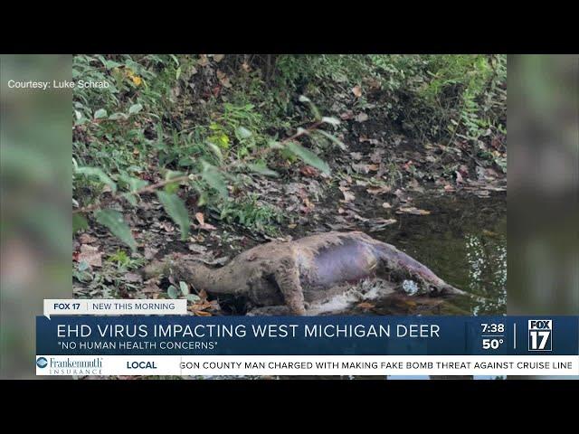 A deadly threat: How one virus is decimating deer herds in Western Michigan