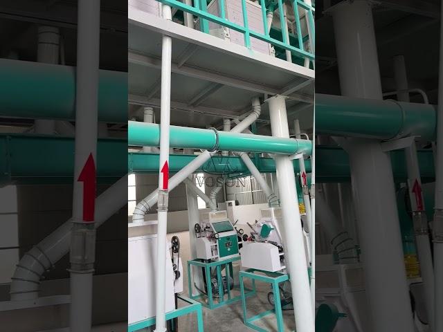 Линия по производству кукурузной муки 120 тонн в сутки | Инженерное решение под ключ