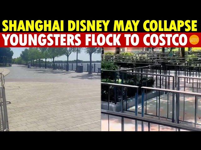 Shanghai Disney May Collapse! Young People Have No Money to Spend, Budget Travelers Head to Costco