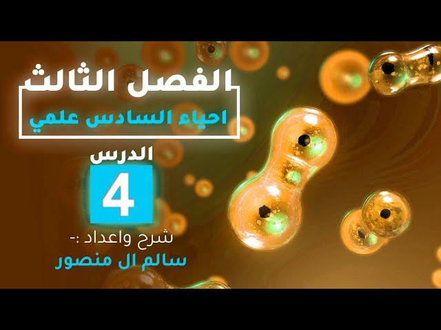 المحاضرة (4) | التكاثر في البكتريا.