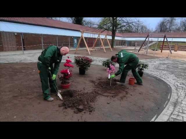 Imagefilm Michaelis Gartenbau - Perfekta Unternehmensgruppe