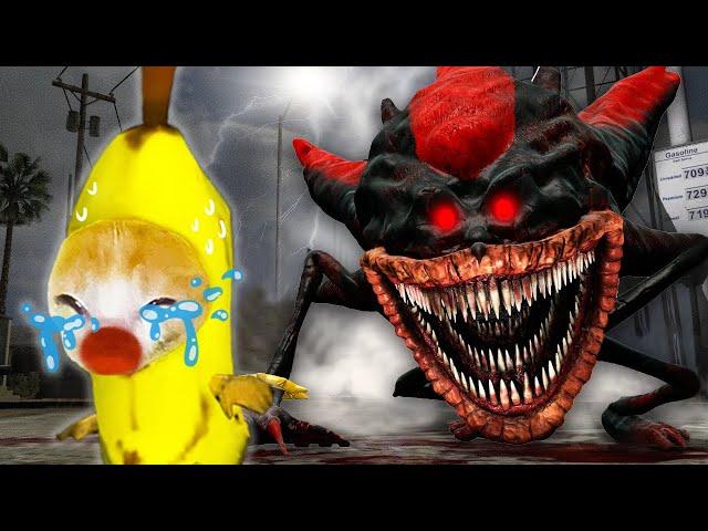 THE SHIN SONIC TAPES: Banana Cat's Facing SHADOW The Hedgehog  Banana Cat Compilation | Cat MEME 