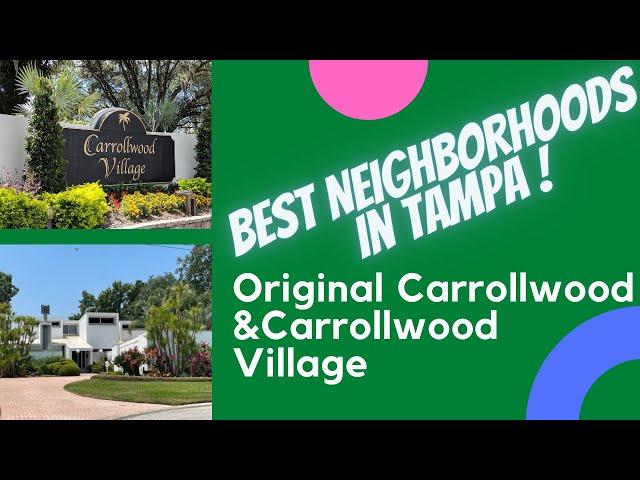 Best Neighborhoods in Tampa | Original Carrollwood and Carrollwood Village