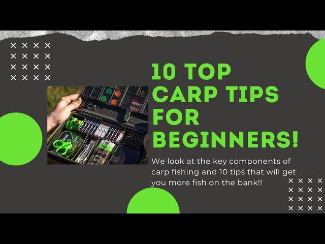 10 Carp Fishing Tips For Beginners | 2020