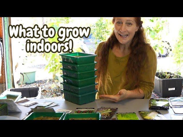 How many seeds to plant per ROCKWOOL // Hydroponic garden tower for indoor GARDENING. Tower Garden.