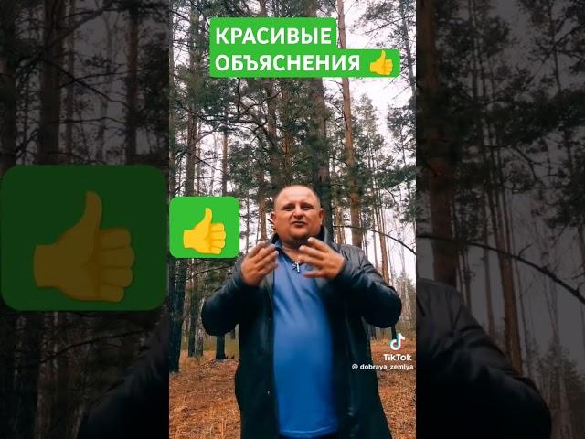 СПАСИБО ЗА ПОНИМАНИЕ МУДРЫЙ ЧЕЛОВЕК #new #duet #pubg #usa #xbox #music #kpop #pubg #москва #душанбе